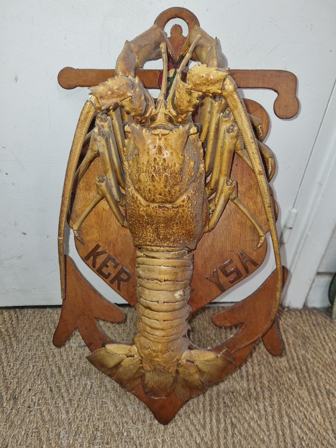 Naturalized lobster of the mid-twentieth century