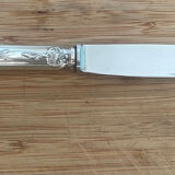 Sfam silverware knives