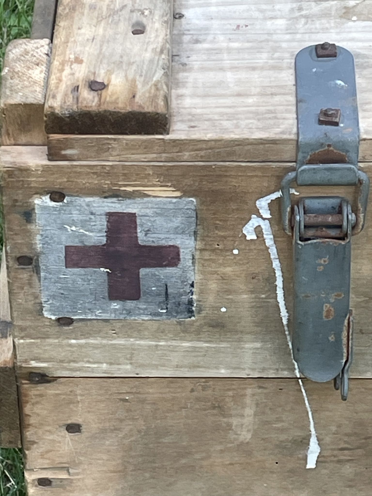 Trunk, natural wood box, very healthy