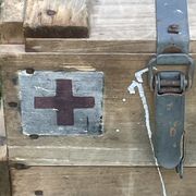 Trunk, natural wood box, very healthy