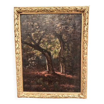 19th century chiaroscuro clearing painting by Pierre Delambre