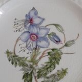Set of 4 royal cauldom plates