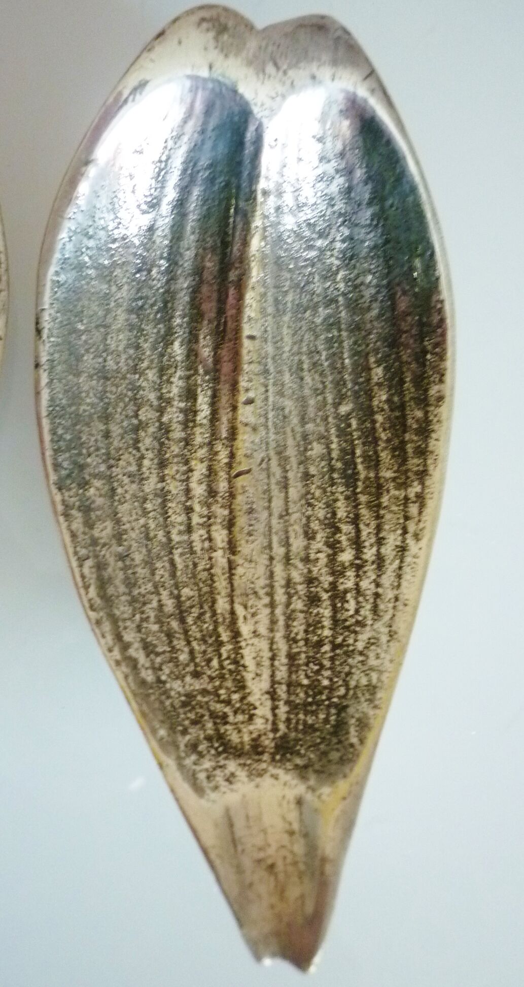 Flower, removable ashtrays and spades, iconic object 70s, silver bronze signed eLeCe Lisboa