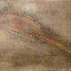Signed oil on canvas painting "woman lying on her stomach"