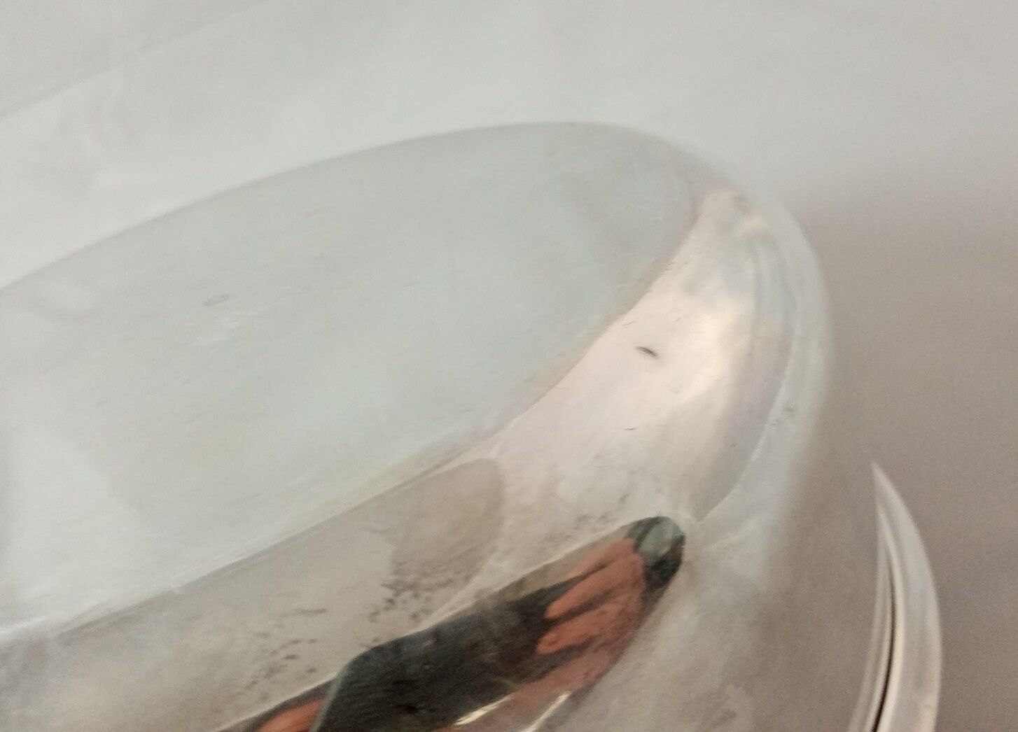 Old hollow plate silver metal handles shells