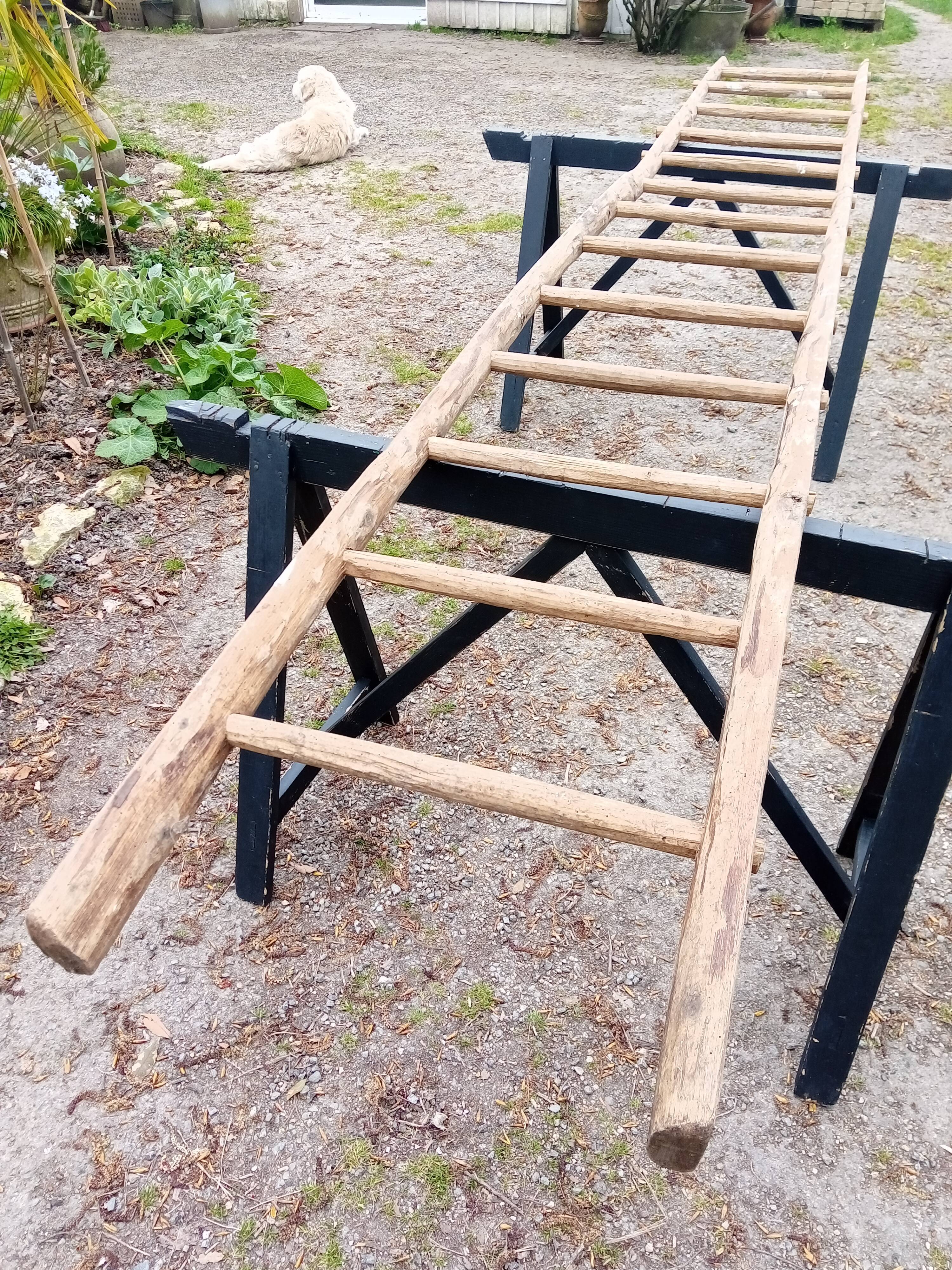 Old wood scale 3.2 m