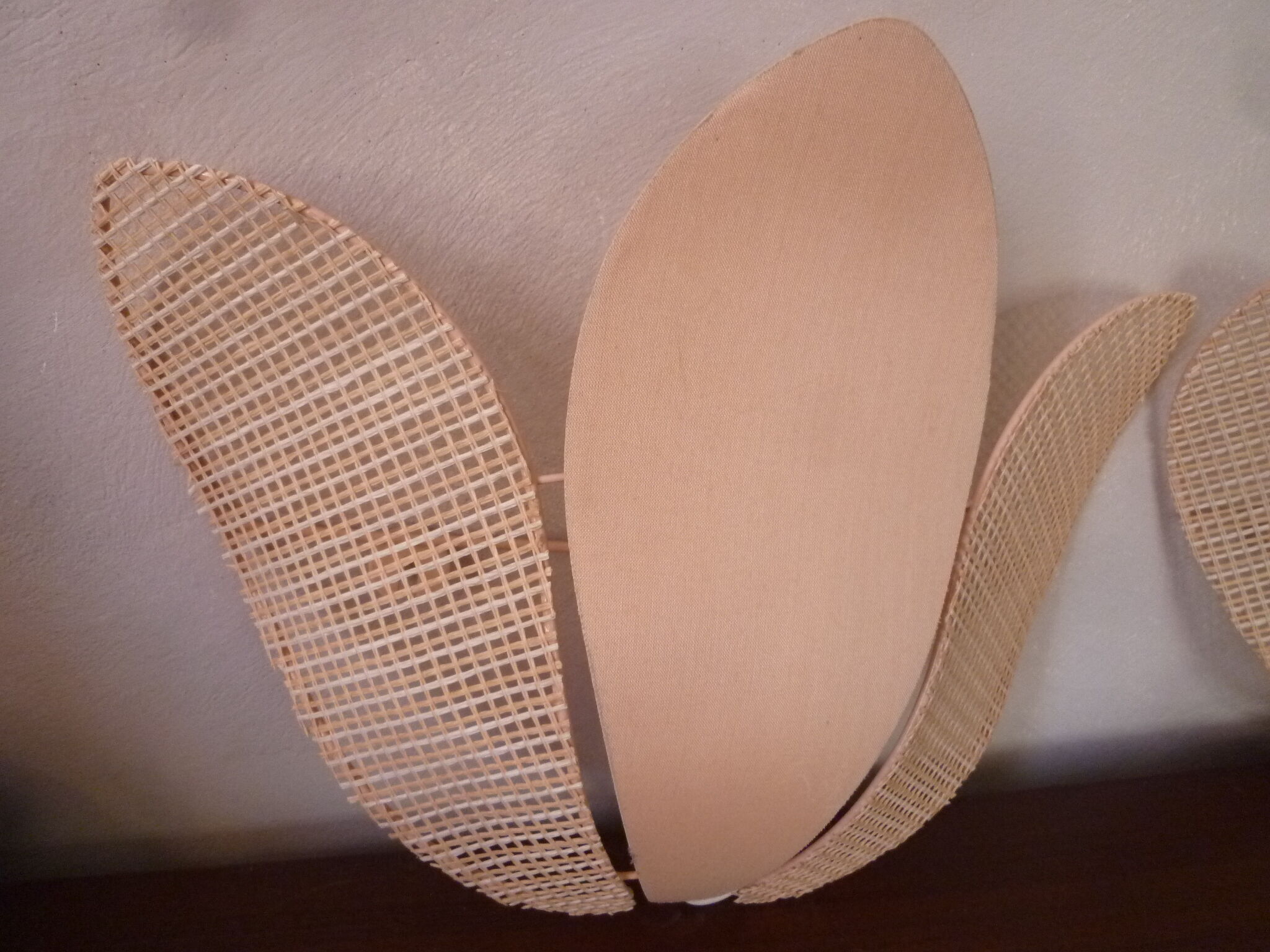 Duo of pink corolla sconces