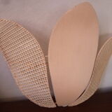 Duo of pink corolla sconces