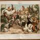 Lithograph engraving of hens and roosters – 1890