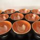 11 old Céranord Saint Amand Semi Vitrified bowls