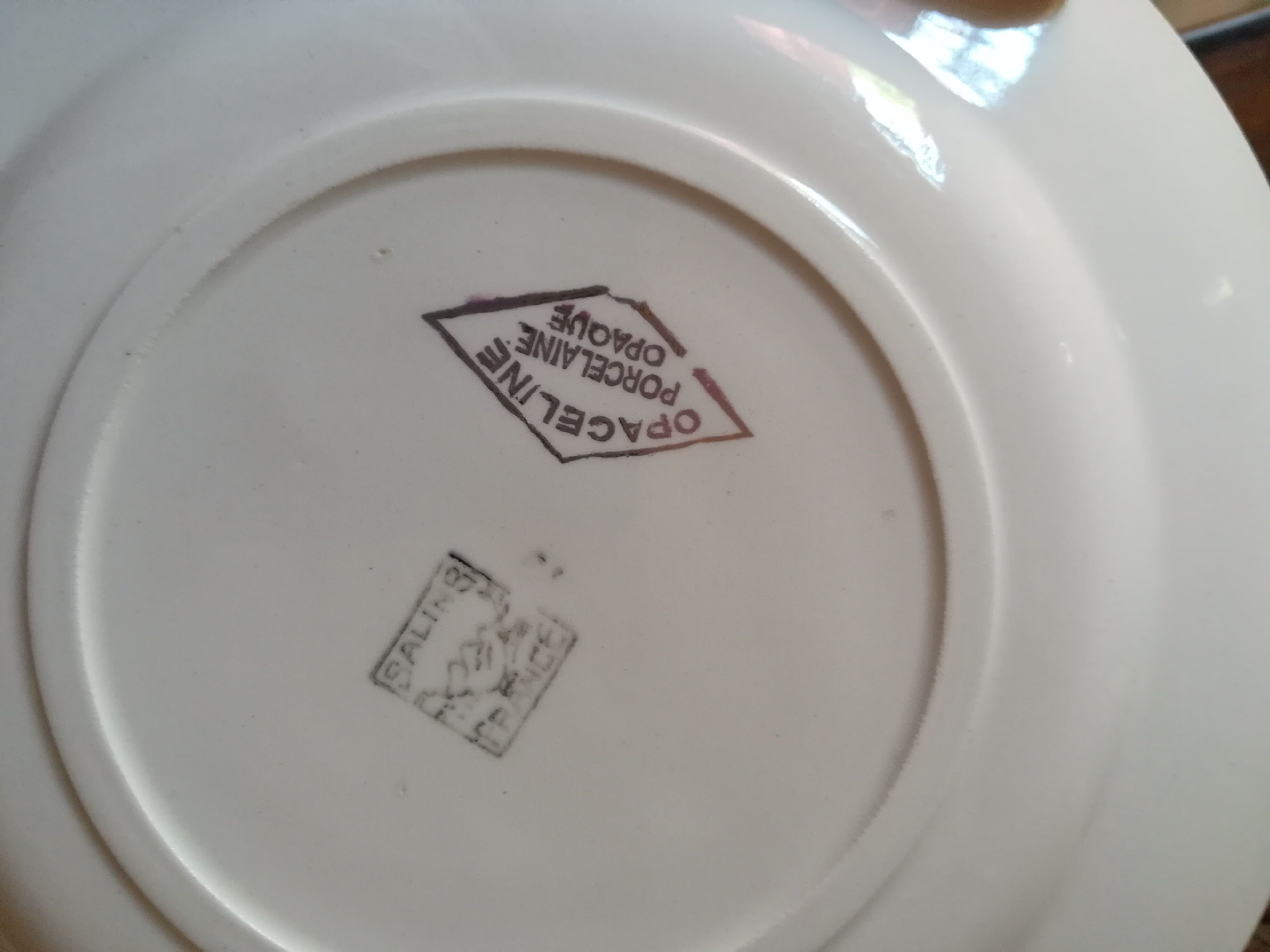 6 earthenware plates by Salins