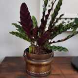 Vintage Copper Indoor Planter - Switzerland - 1970s