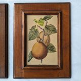 4 fruit paintings