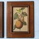 4 fruit paintings