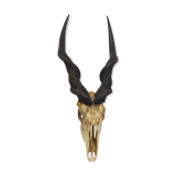 Ancient and very large hunting trophy. Derby Elk