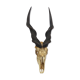 Ancient and very large hunting trophy. Derby Elk