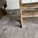 Raw poplar wood shelf