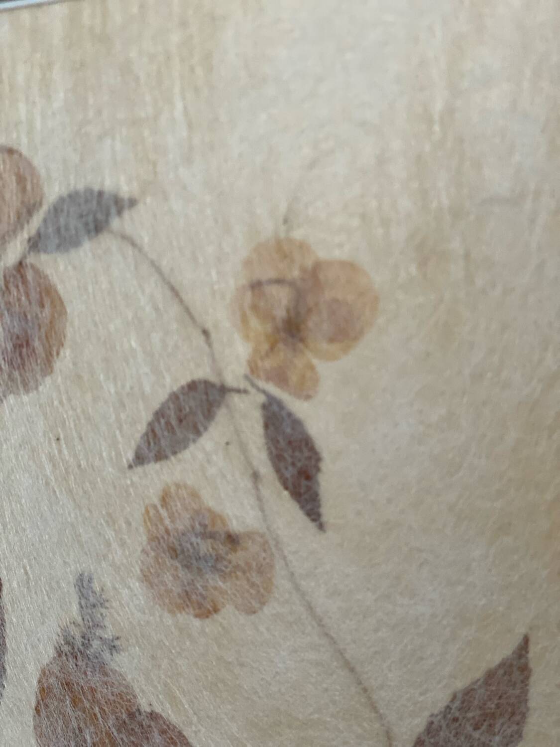 Dried flower lamp