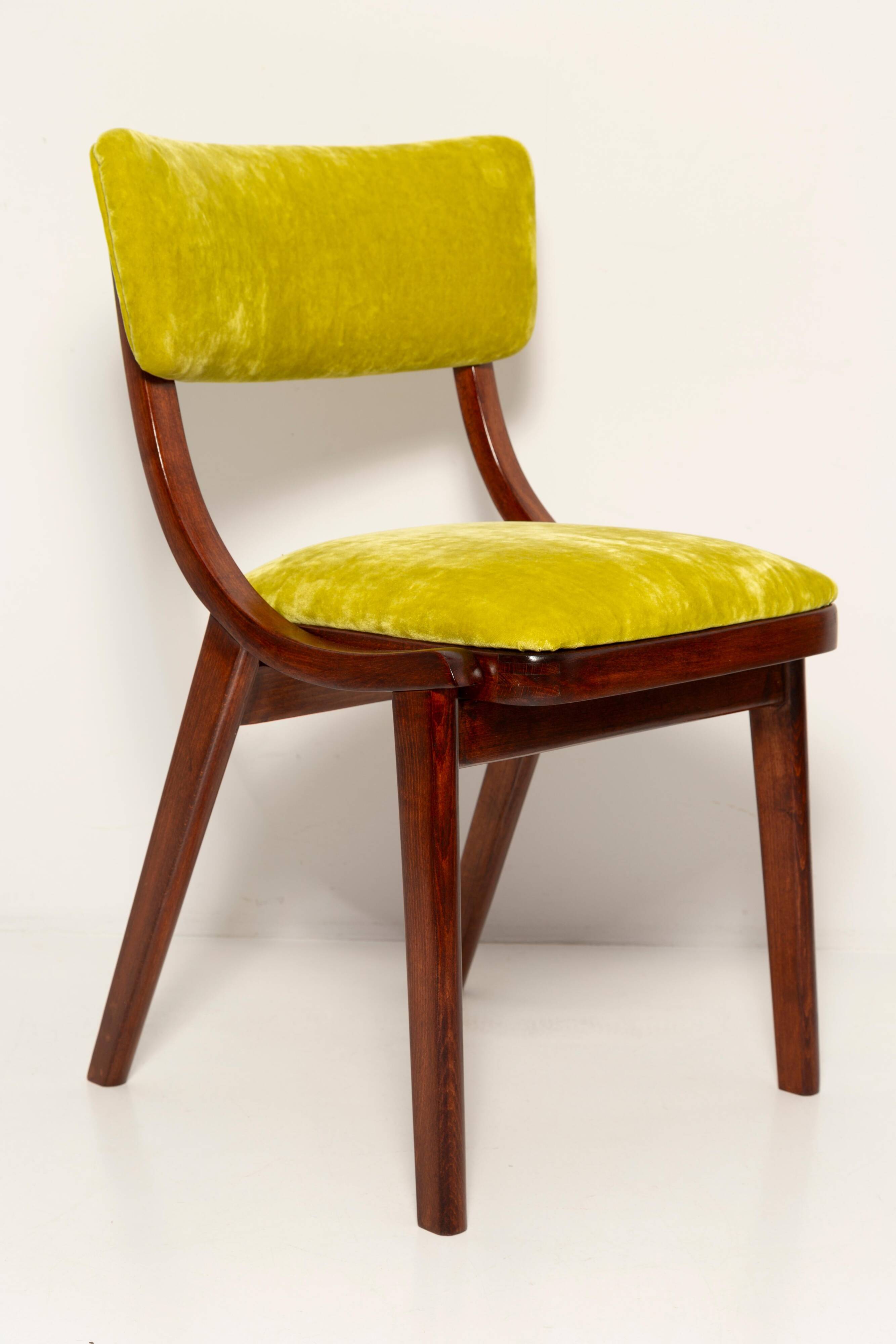 Chaise Mid-Century Moderne, Velours Vert Citron, FR Dedar, Pologne, Années 1960