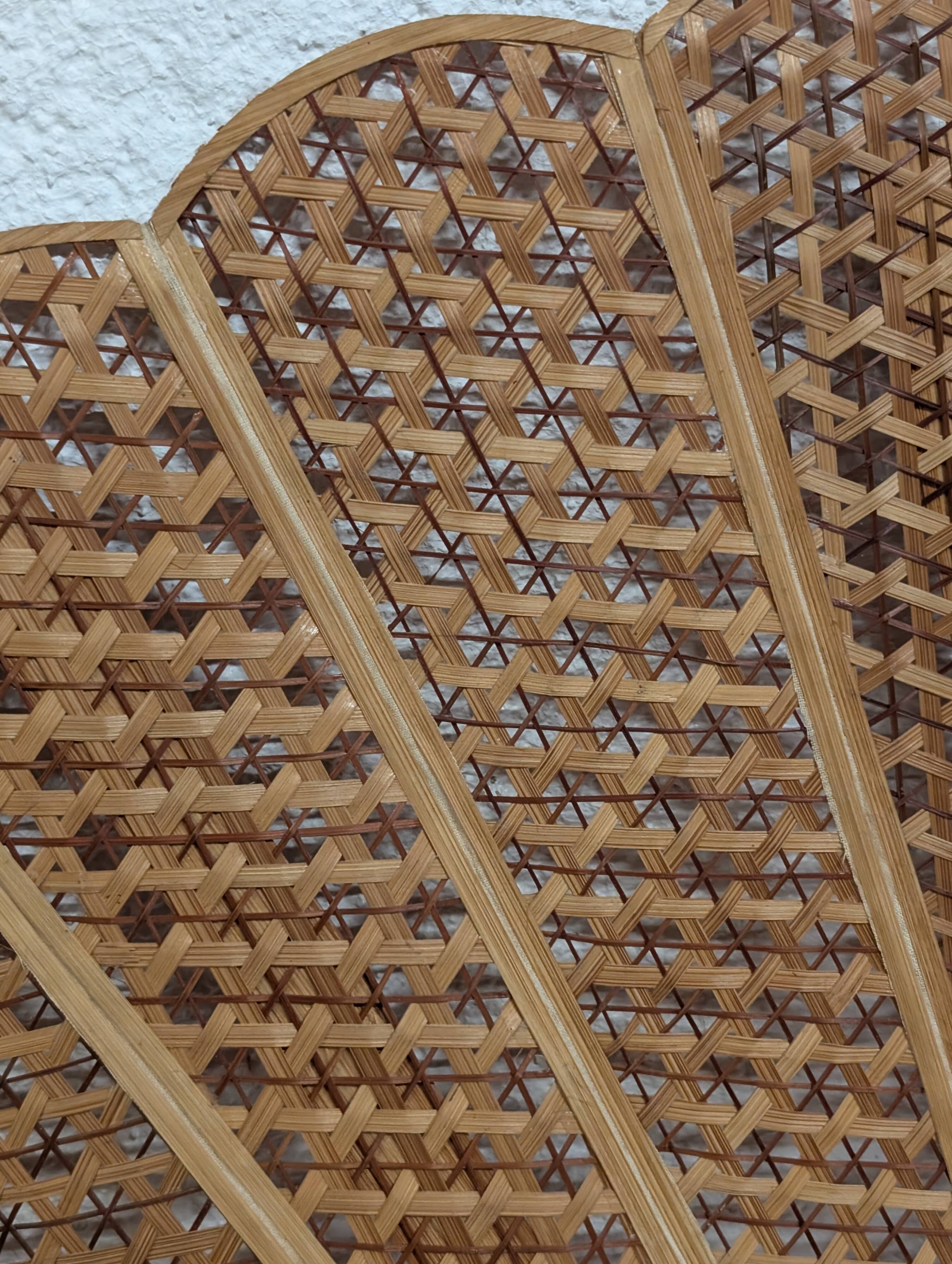 Ancient giant bamboo fan