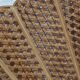 Ancient giant bamboo fan