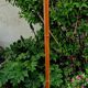 Lampadaire  en teck
