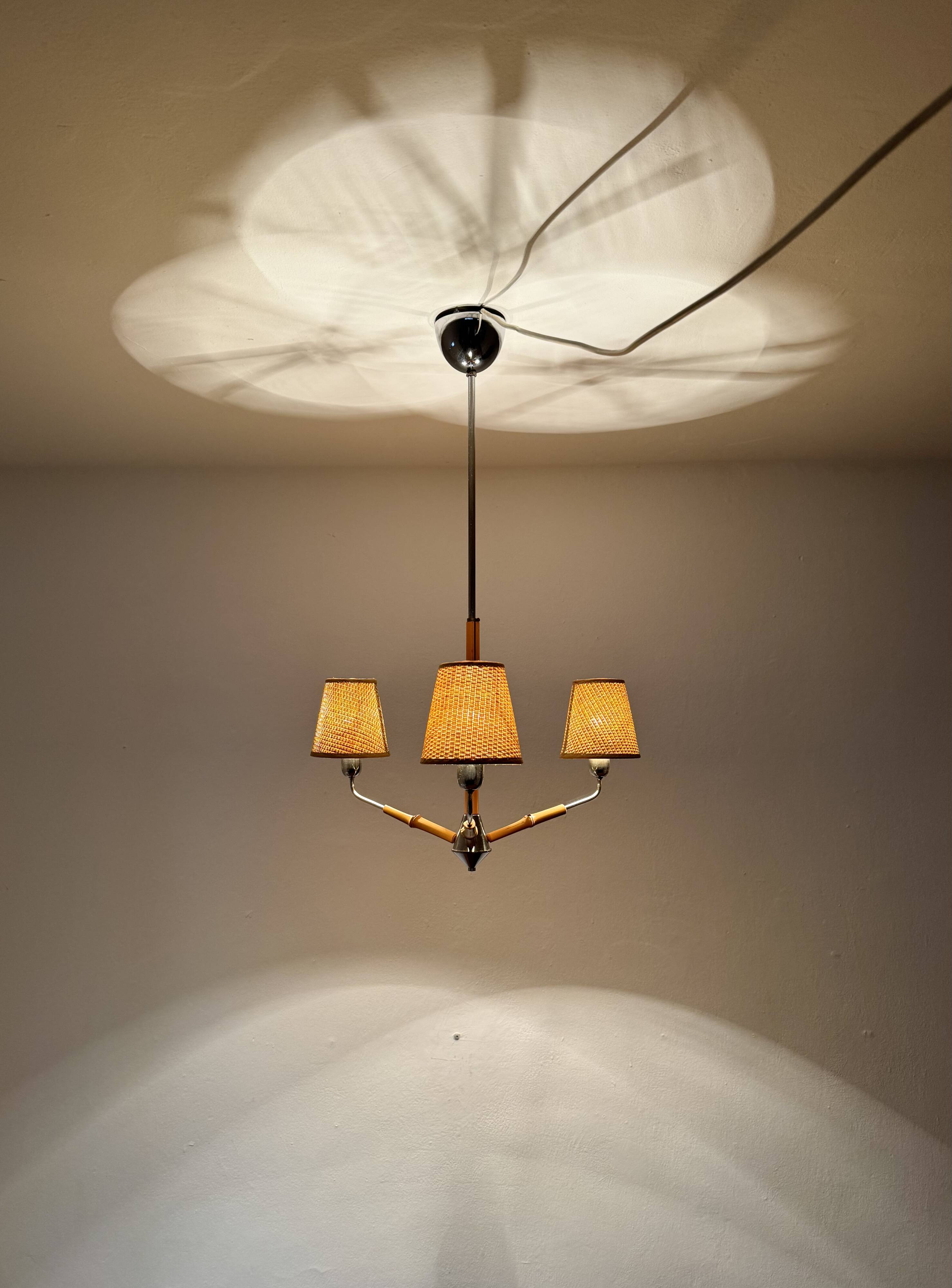 Bamboo Chandelier by Rupert Nikoll