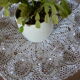 Lot of 12 scallops in Pyrex glass