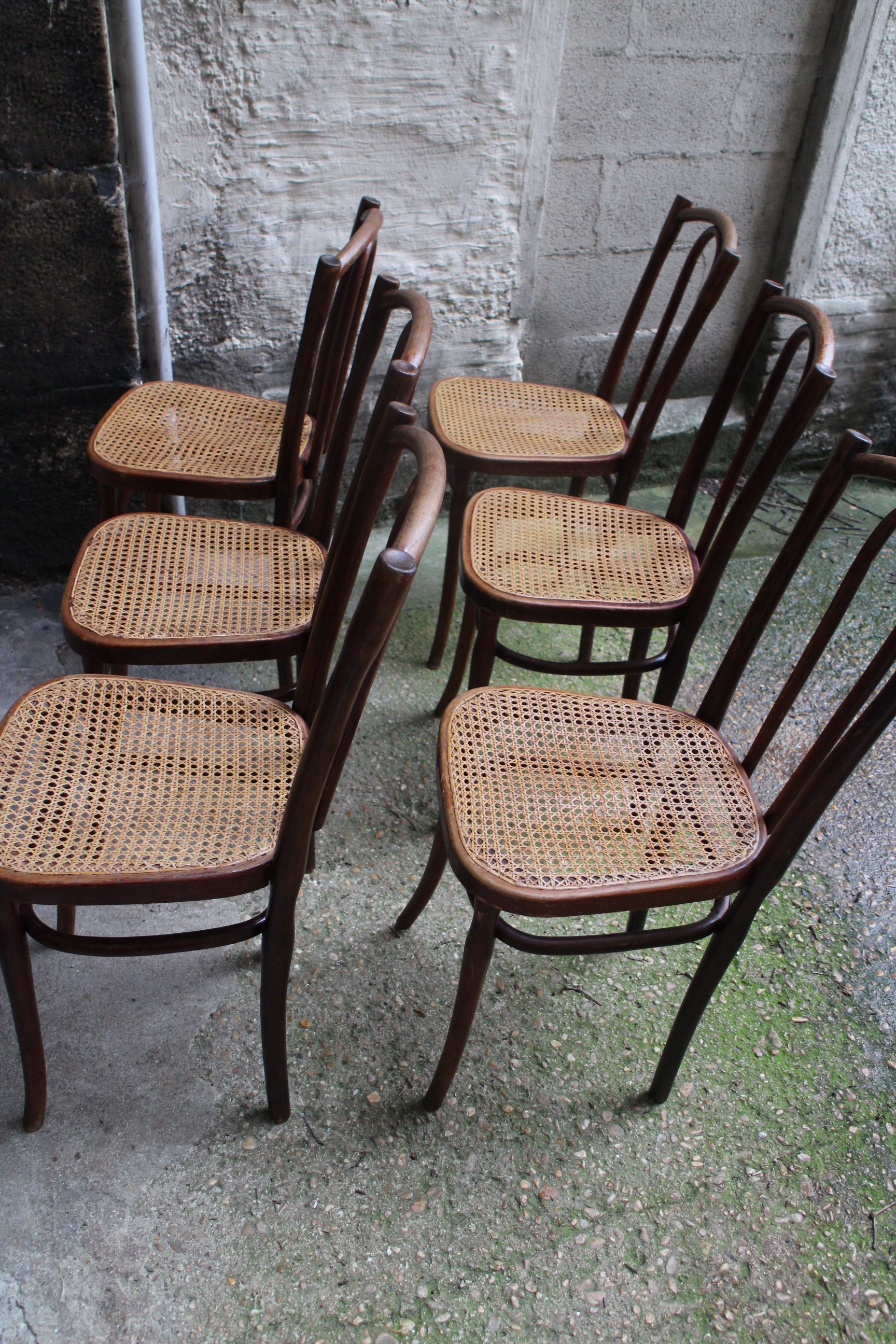 Series of 6 kohn bistro chairs curved wood and cannage