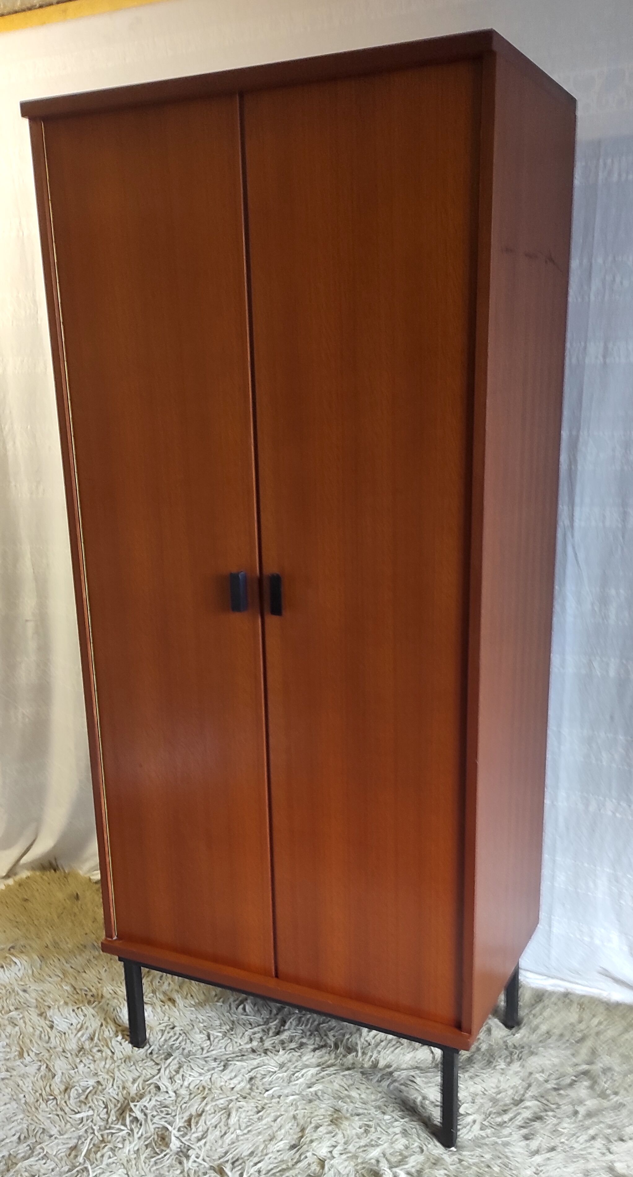 Modernist teak cabinet – 60s