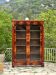 Empire Style Mahogany Display Cabinet/Bookcase, 19th Century