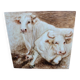 Oil painting on wooden panel representing oxen