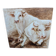 Oil painting on wooden panel representing oxen