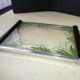 Vintage serving tray in glass and wood Lily of the valley décor