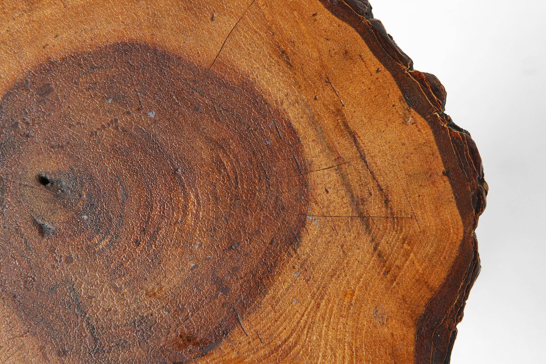 Mid‑Century Rustic French Tree Trunk Stool, France 1940s