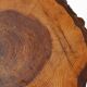Mid‑Century Rustic French Tree Trunk Stool, France 1940s