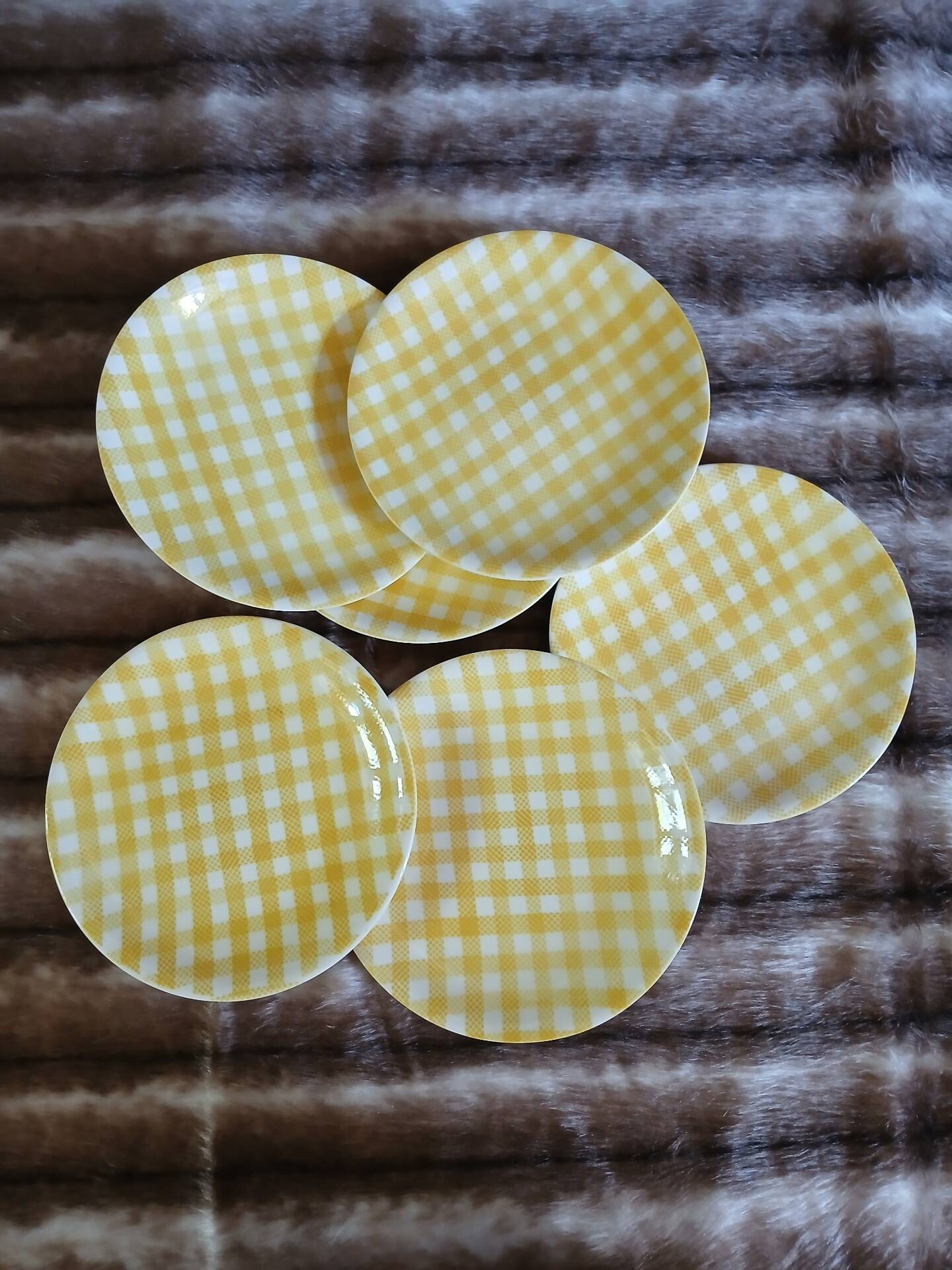 6 assiettes plates anciennes Salins 