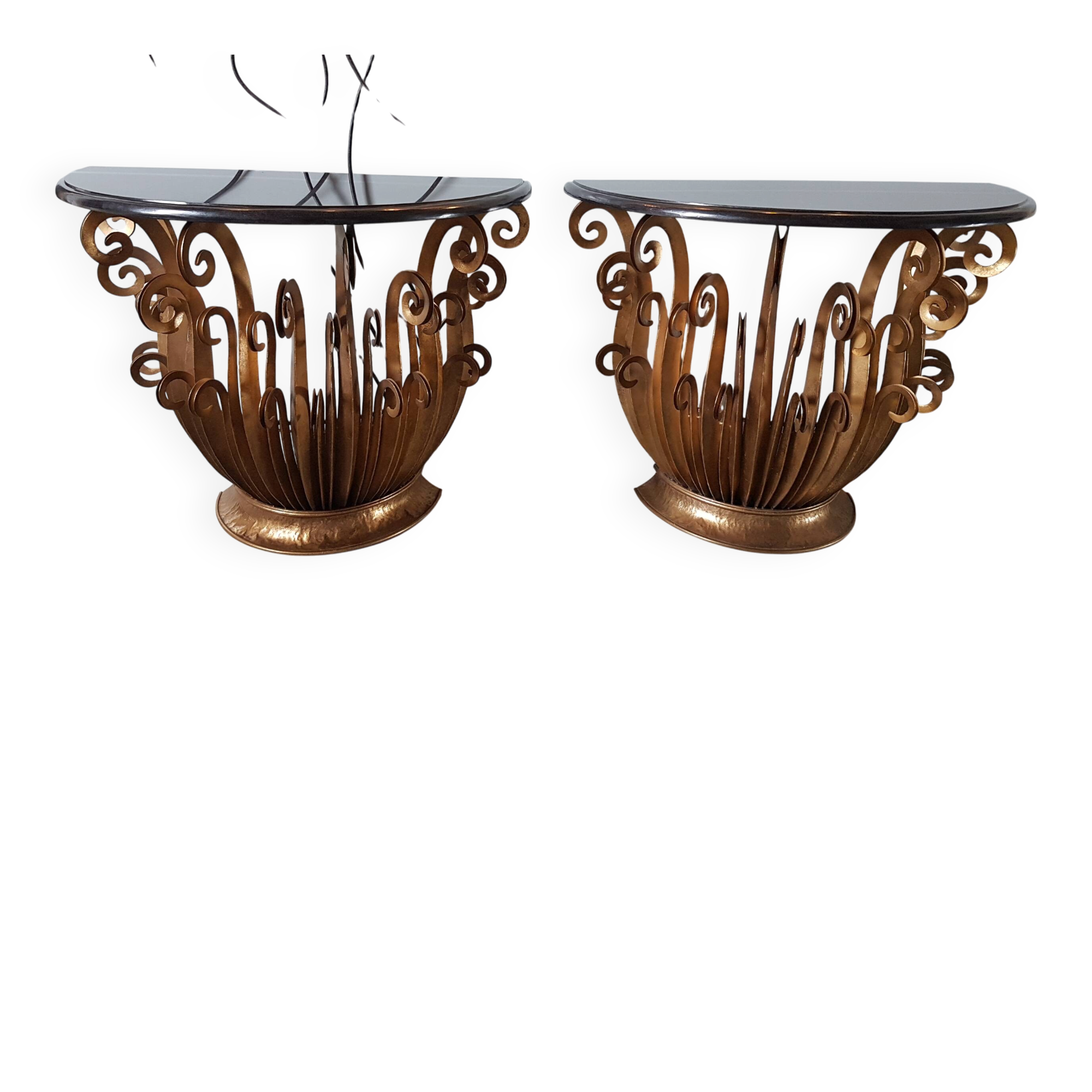 Paire de console aux fougeres
