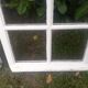 Glass window h146xl227 in arched oak