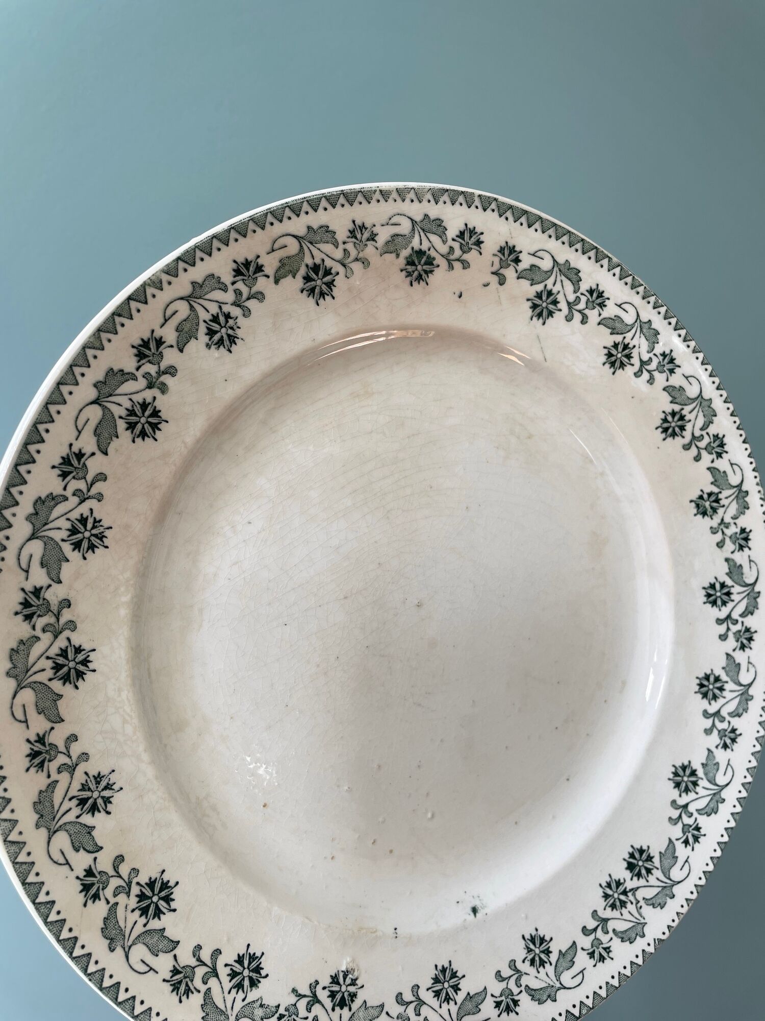 Set of 16 flat plates model Georgette Moulin des Loups & Hamage