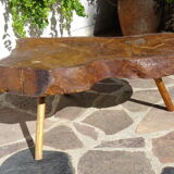 Elm tree trunk coffee table