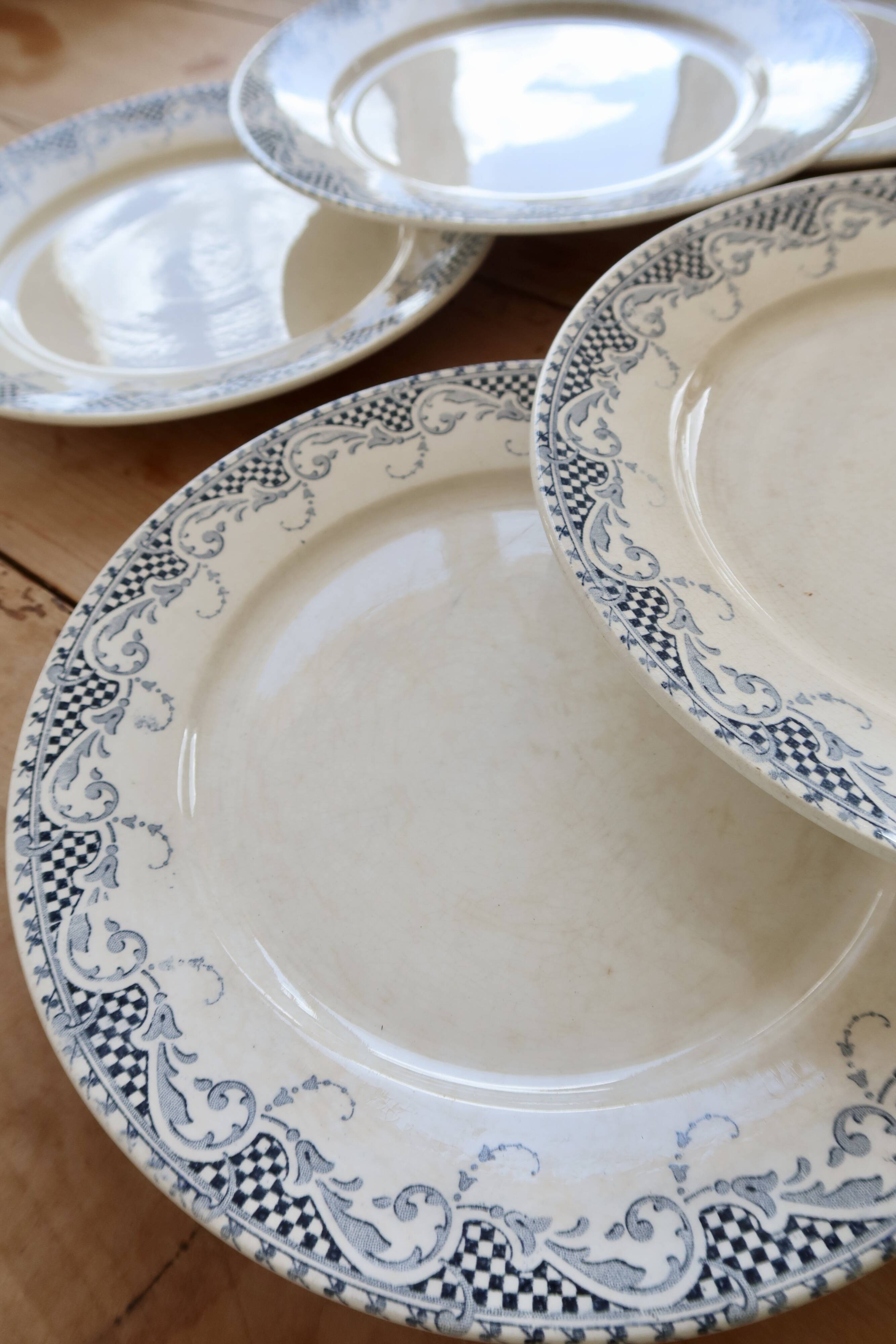 6 flat plates made of ironstone Sarreguemines U&C model Luchon