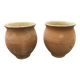 Pair of terracotta and ceramic pots