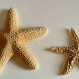 Vintage starfish
