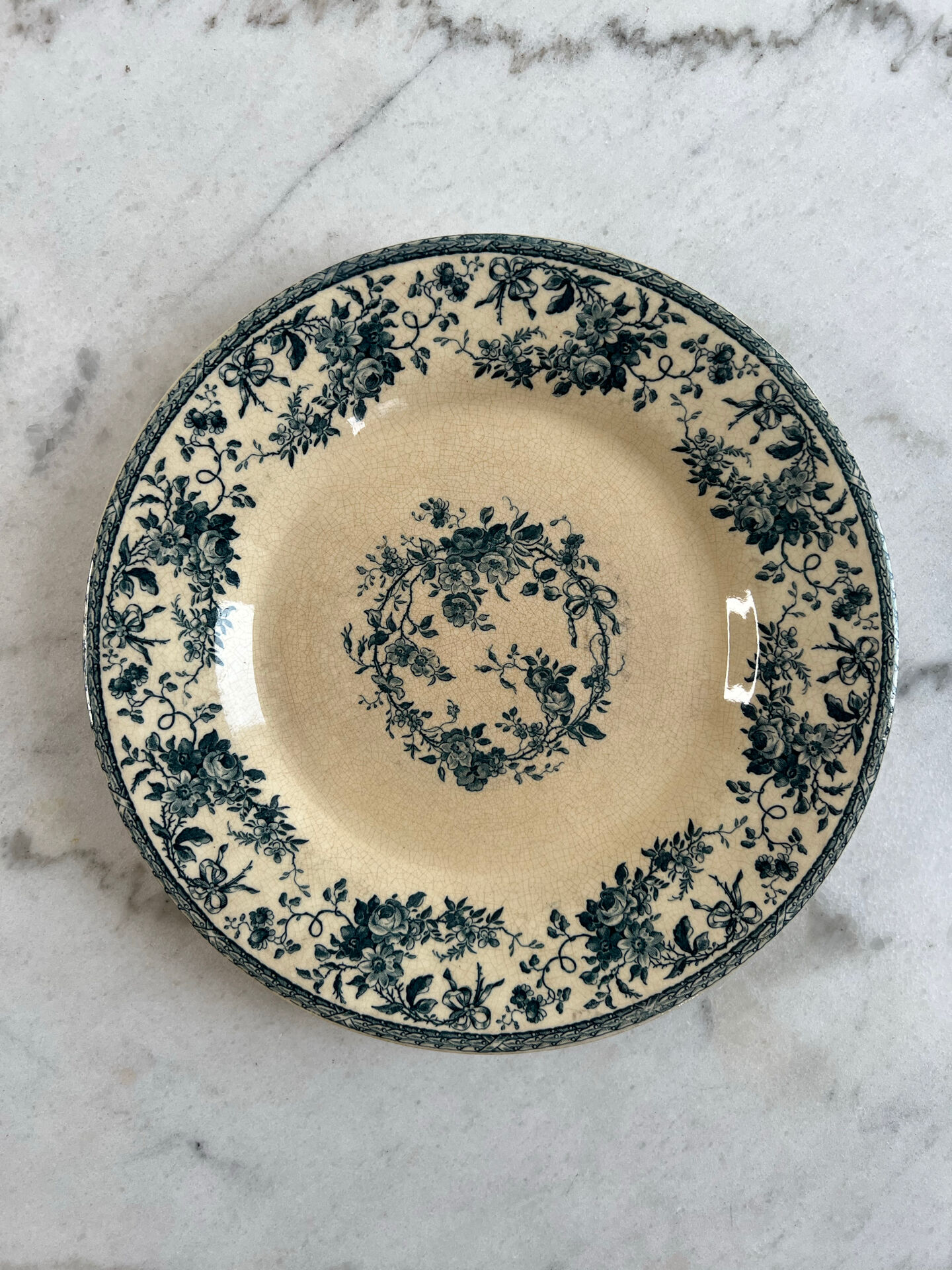 5 ironstone plates GIEN 21cm