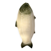 Fish dish
