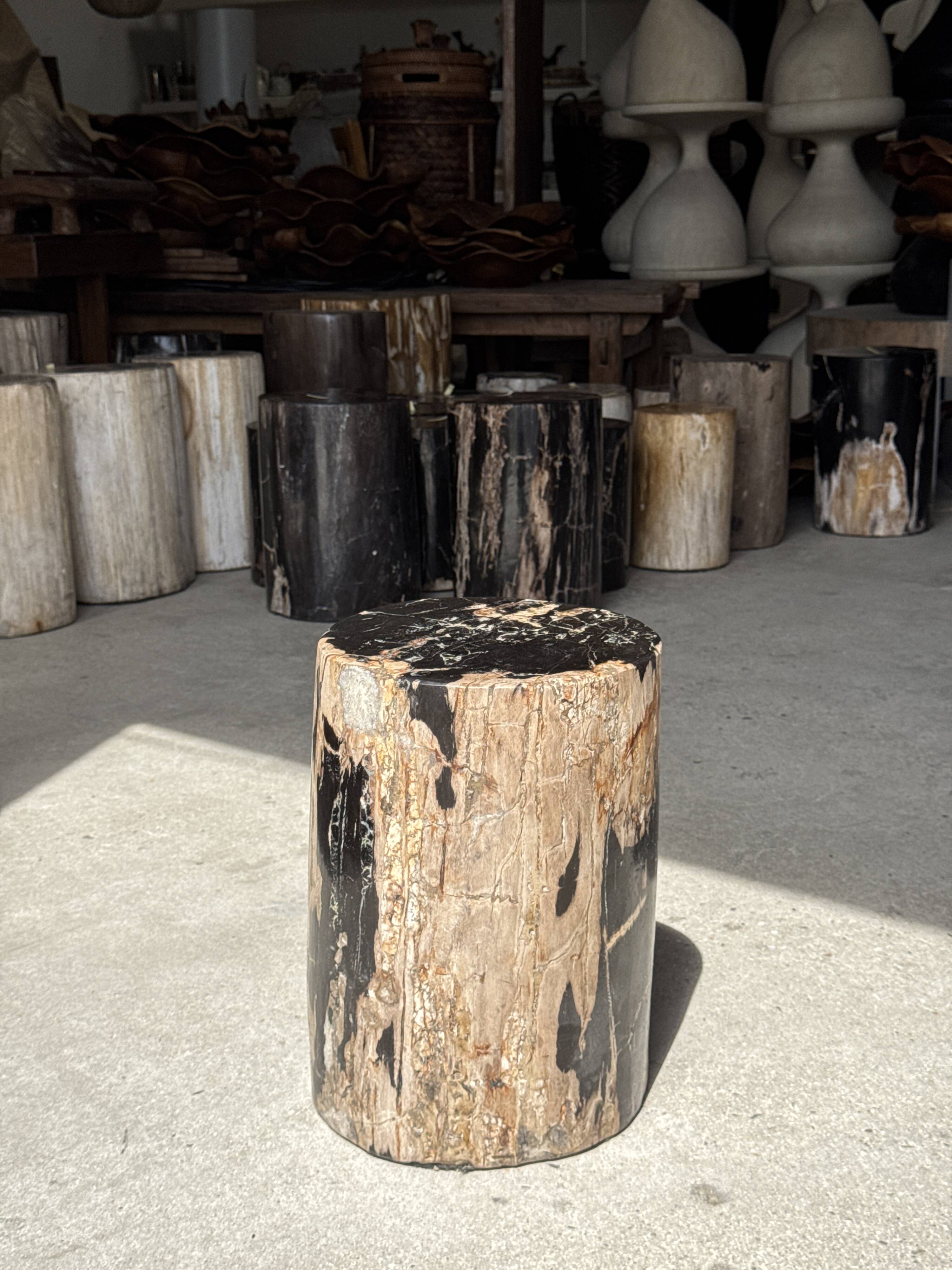 Black petrified wood side table with beige side H35 D24 - 3352