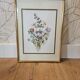 Lithographie bouquet de fleurs sauvages sous cadre doré