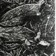 Rosine nusimovici, frost, 1980. black and white silver print signed on the back