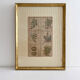 Lithograph botanical plate enhanced with watercolour.